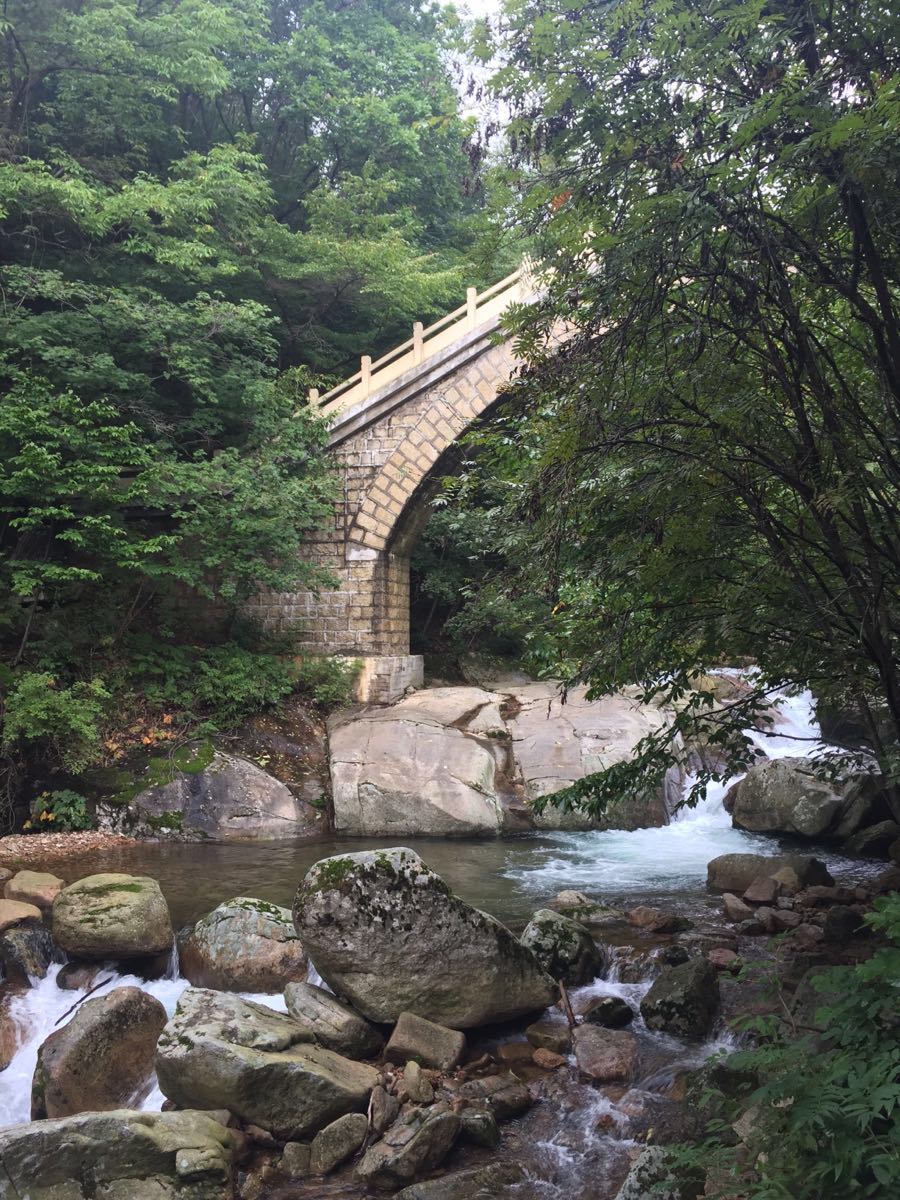 天桥沟森林公园旅游景点攻略图