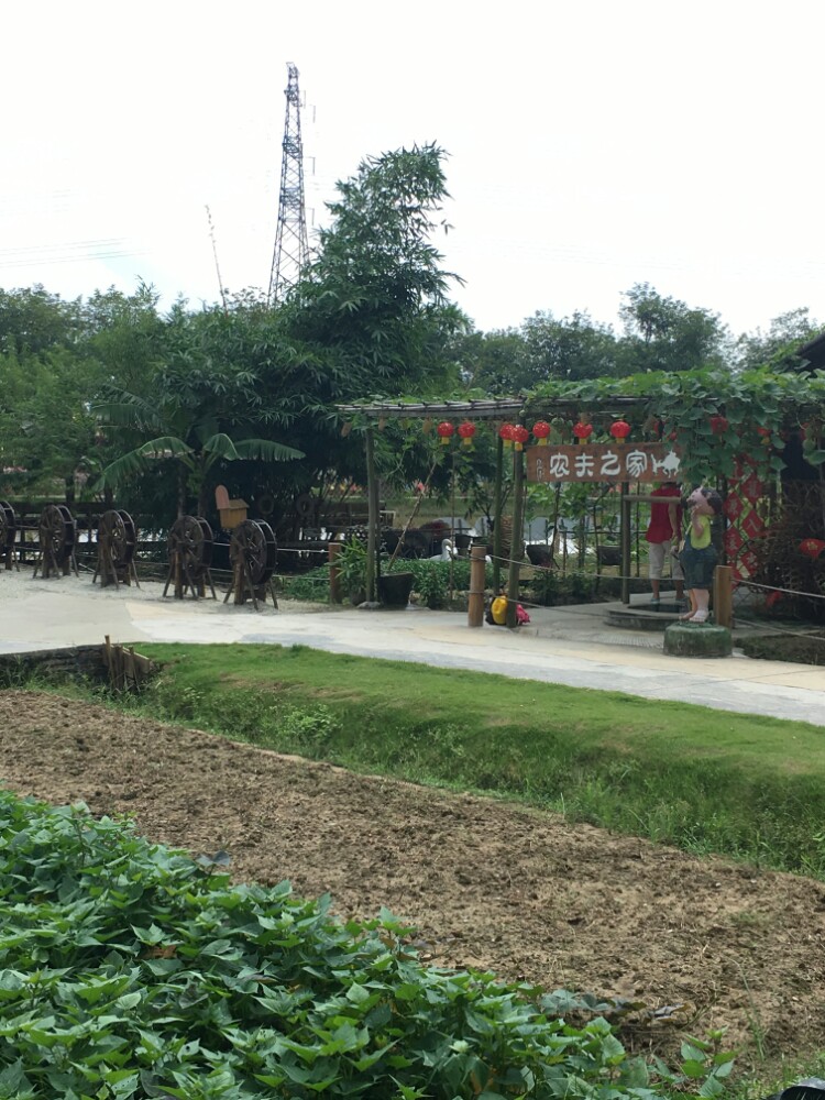 佛山高明盈香生态园好玩吗,佛山高明盈香生态园景点样