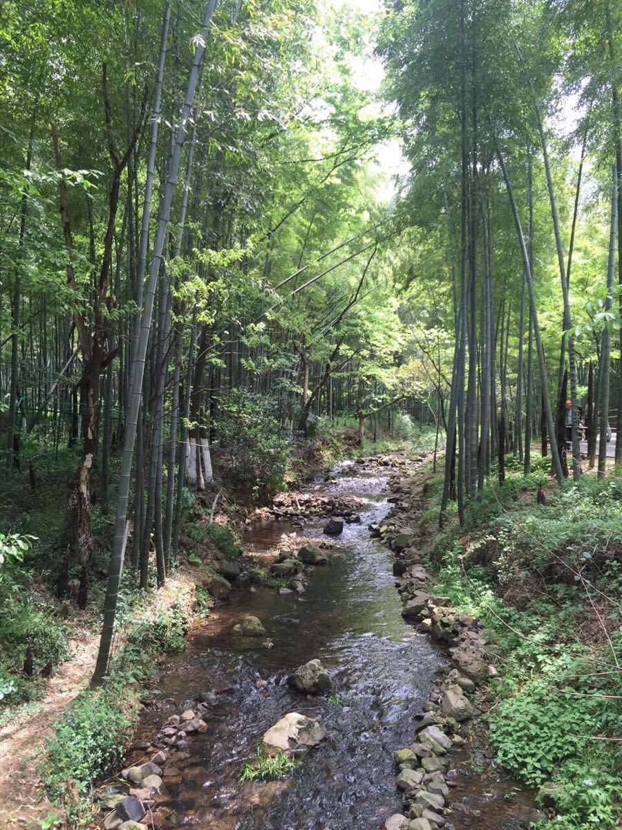 【携程攻略】江苏常州溧阳天目湖南山竹海好玩吗,江苏