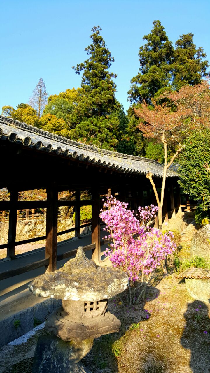 吉备津彦神社