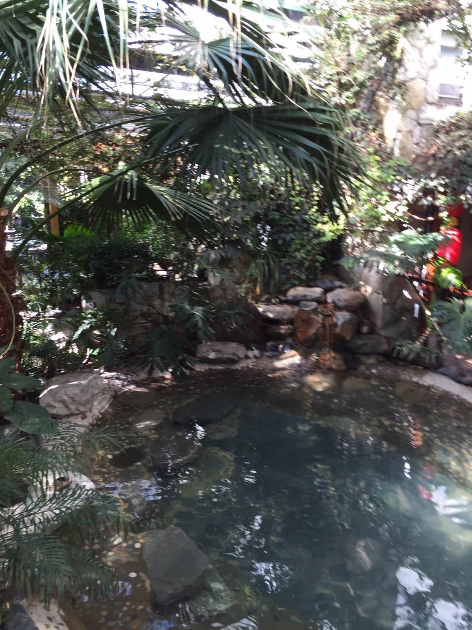 栖谷温泉