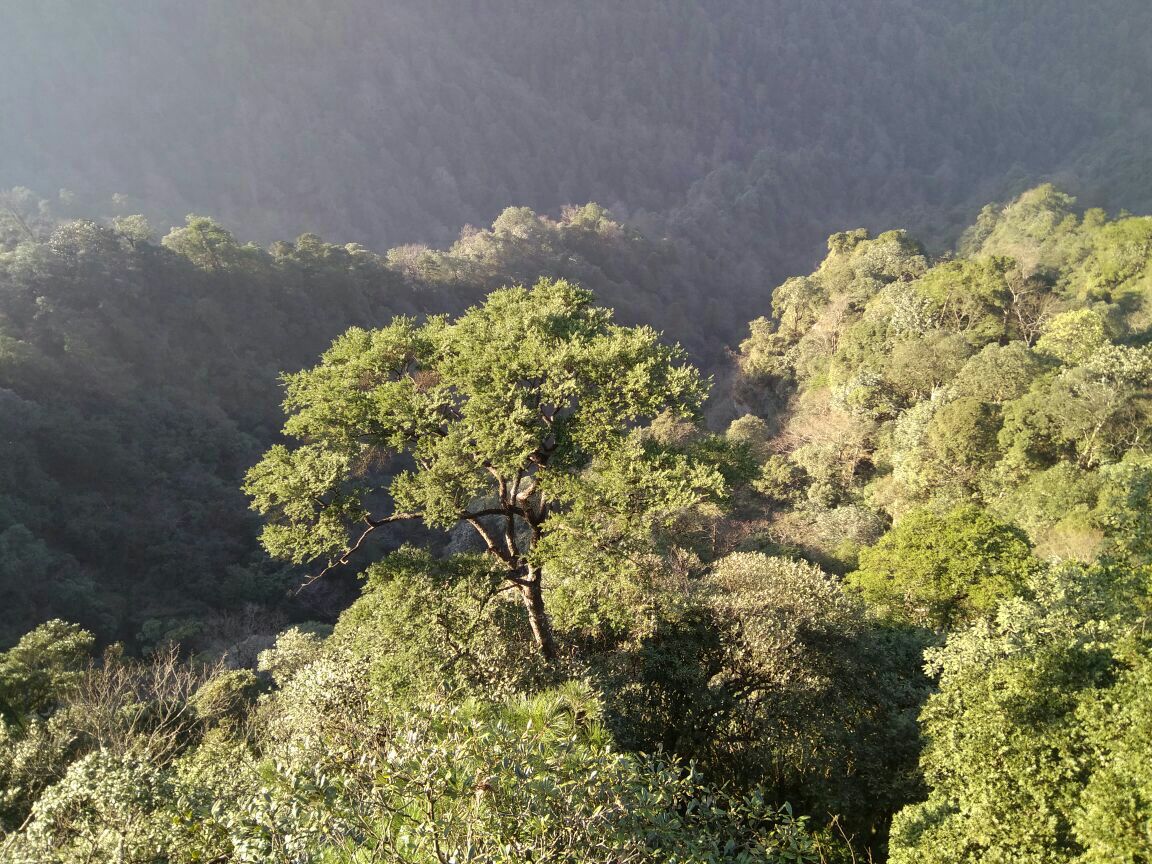 杜鹃山(笔架山)