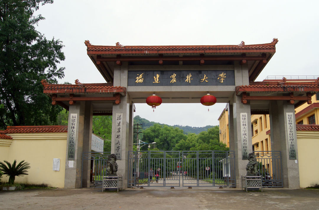 浙江农林大学暨阳学院官网_陈雯福建农林大学_福建农林大学 官网