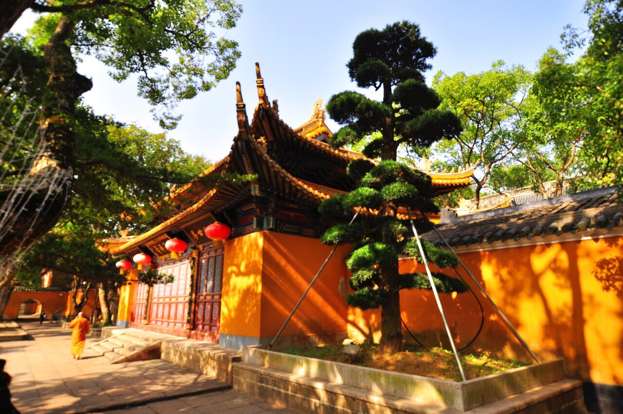 普陀山普济禅寺好玩吗,普陀山普济禅寺景点怎么样