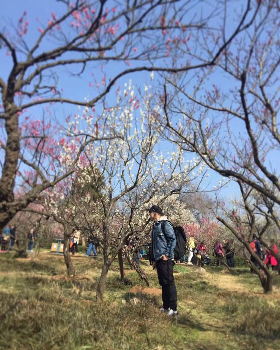 携程攻略南京梅花山好玩吗南京梅花山景点怎么样