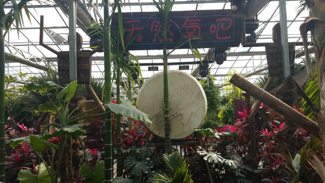 呀路古热带植物园