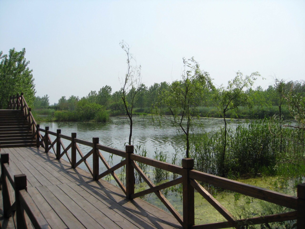 溱湖国家湿地公园旅游景点攻略图