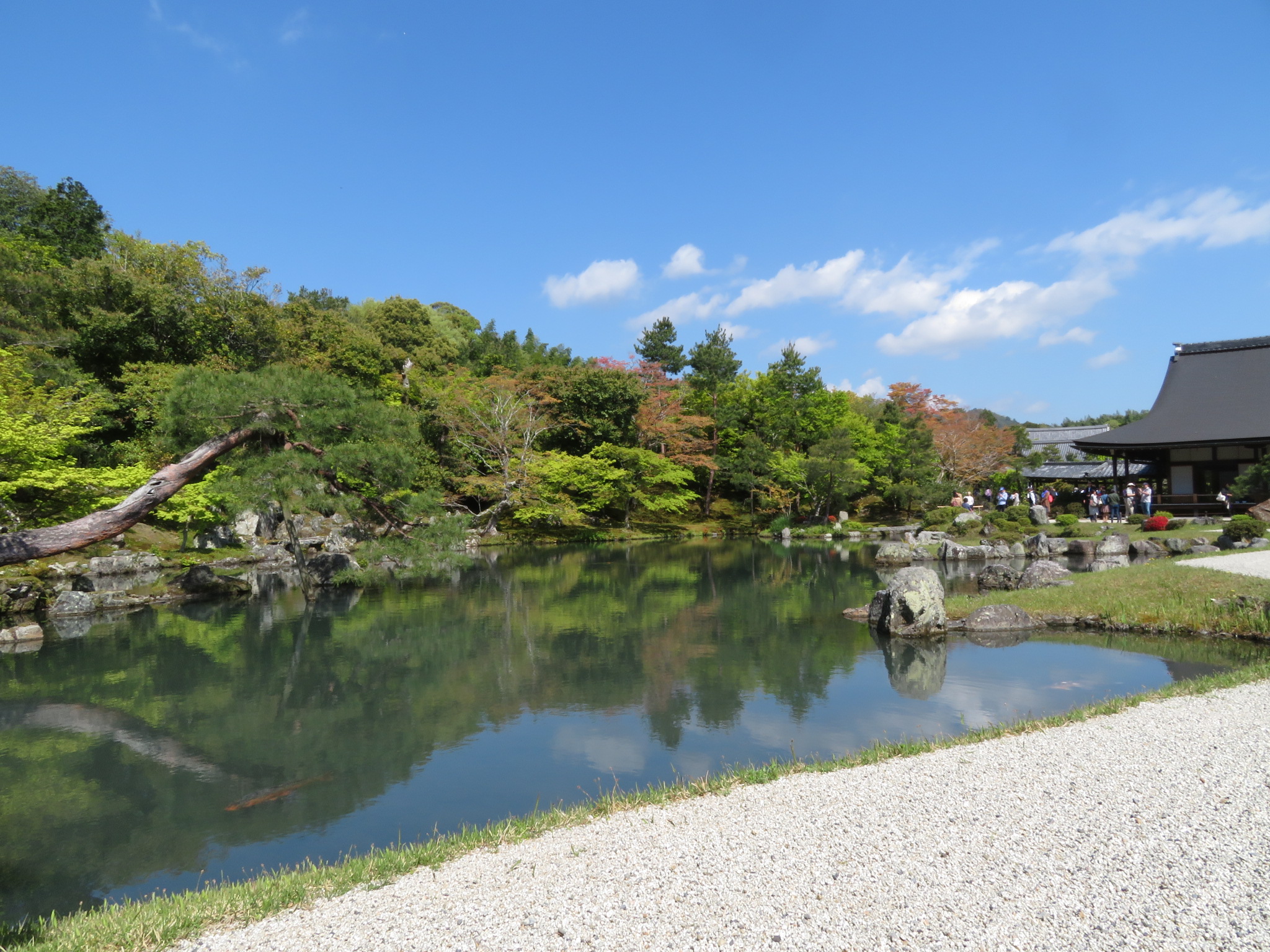 2018岚山_旅游攻略_门票_地址_游记点评,京都旅游景点