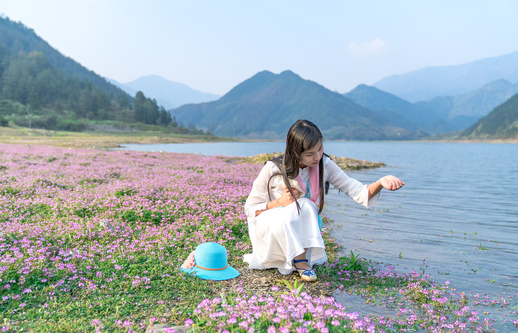 段莘水库,河岸上有一片紫云英的花海