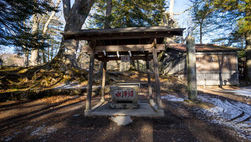 镇西大社诹访神社 崇福寺 长崎新地中华街 滨町商店街包车一日游