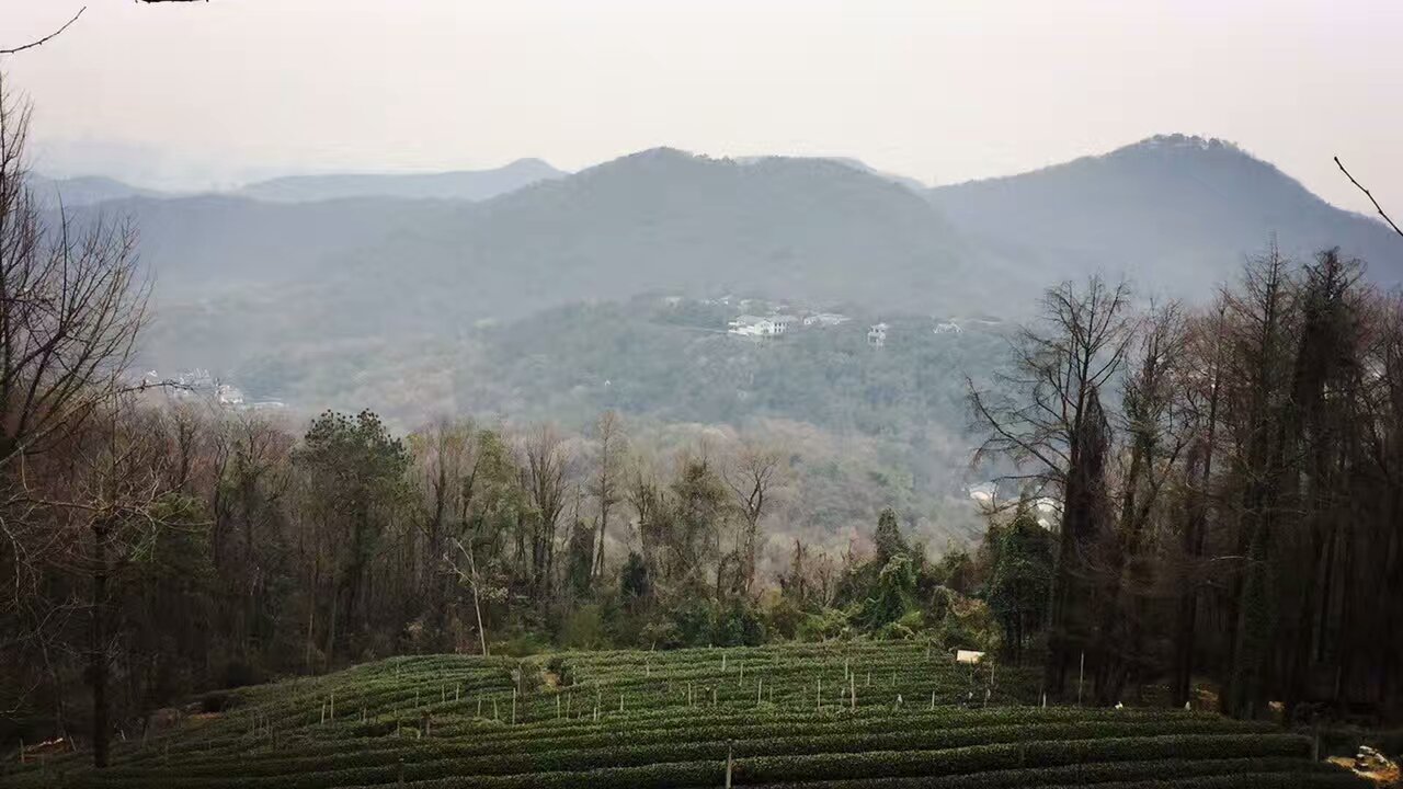 杭州南高峰攻略,杭州南高峰门票/游玩攻略/地址/图片/门票价格【携程