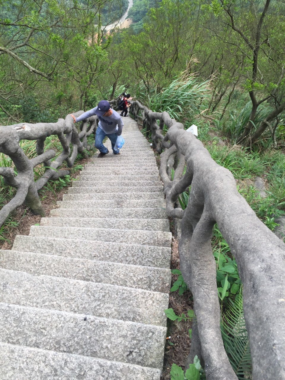 梧桐山旅游景点攻略图