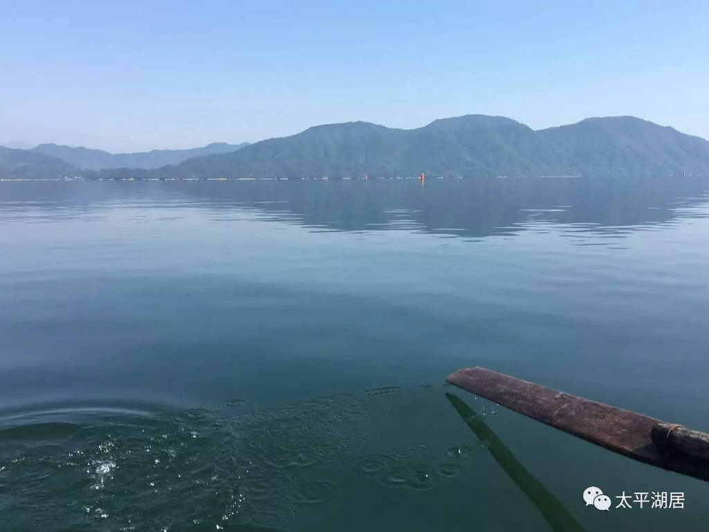 初夏的太平湖