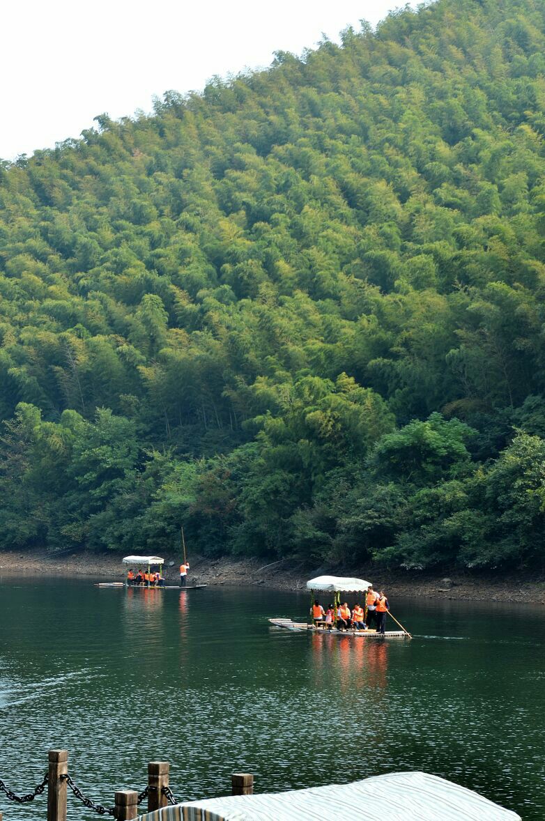 南山竹海