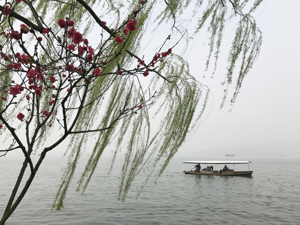 25.柳浪闻莺公园