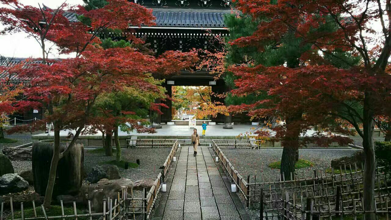 京都银阁寺好玩吗,京都银阁寺景点怎么样_点评_评价