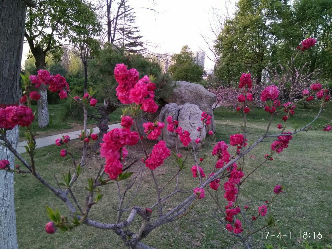 荥阳植物园