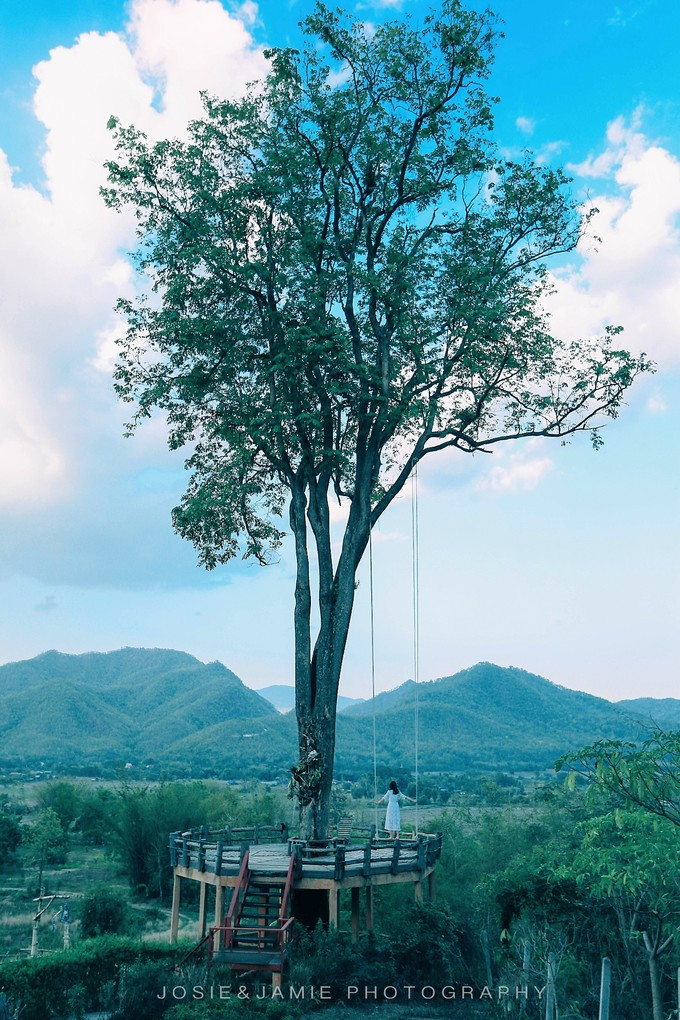 大树秋千和汽车旅馆