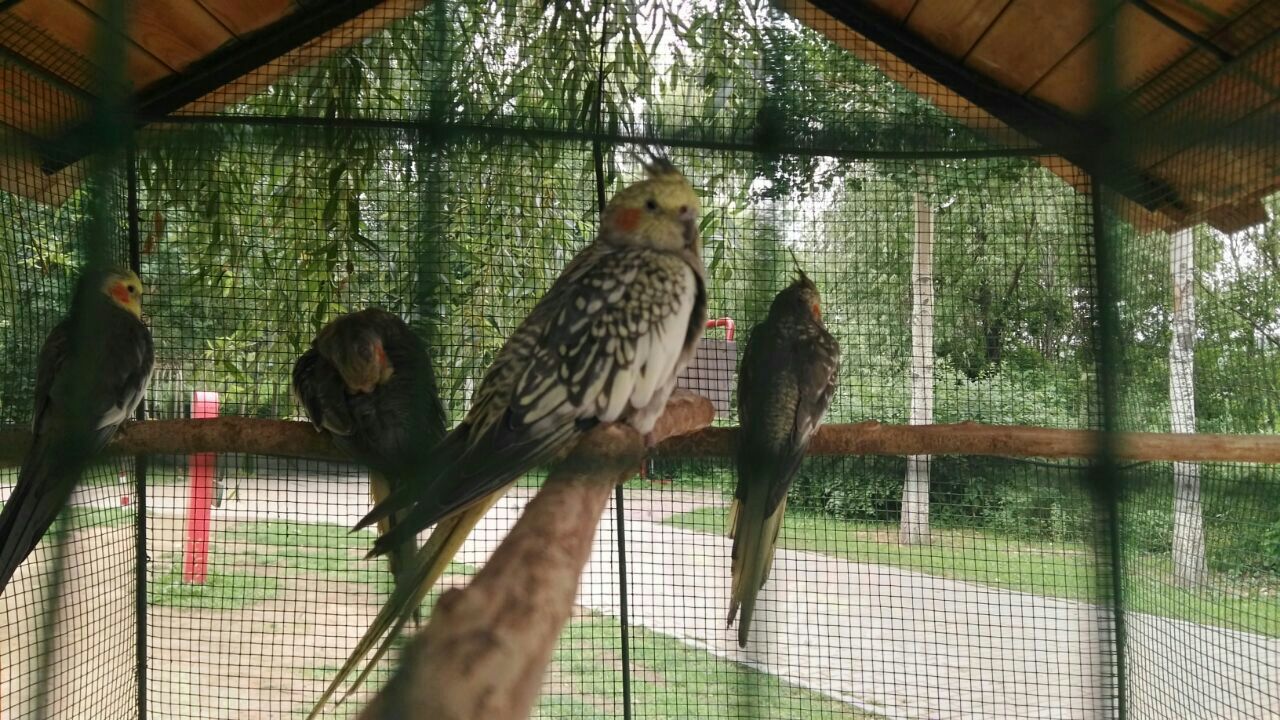 沈阳鸟岛