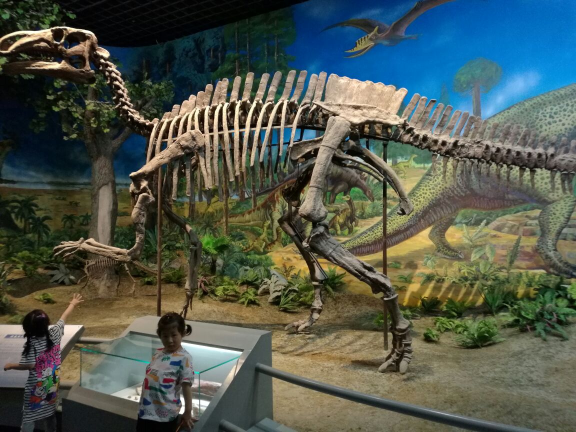 白垩纪恐龙地质公园