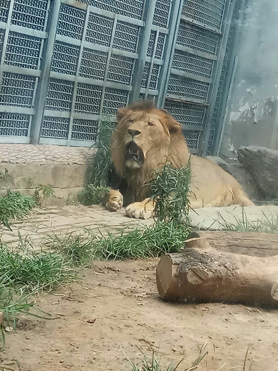 济南动物园jinan zoo