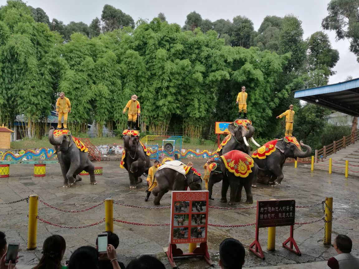 云南民族村旅游景点攻略图