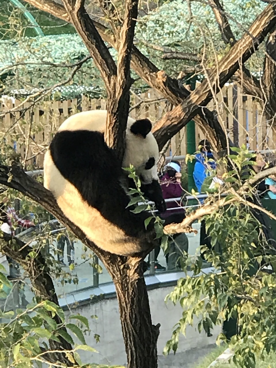 沈阳森林动物园