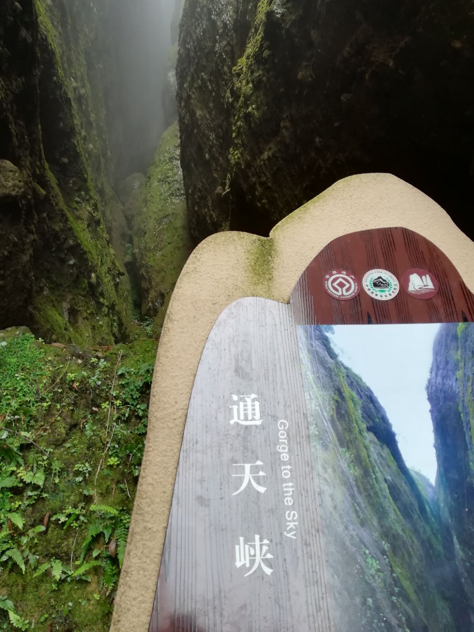 2019江郎山景区_旅游攻略_门票_地址_游记点评,江山