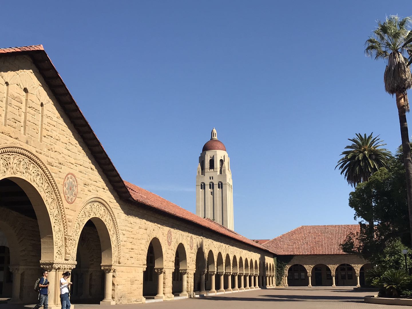 斯坦福大学stanford university