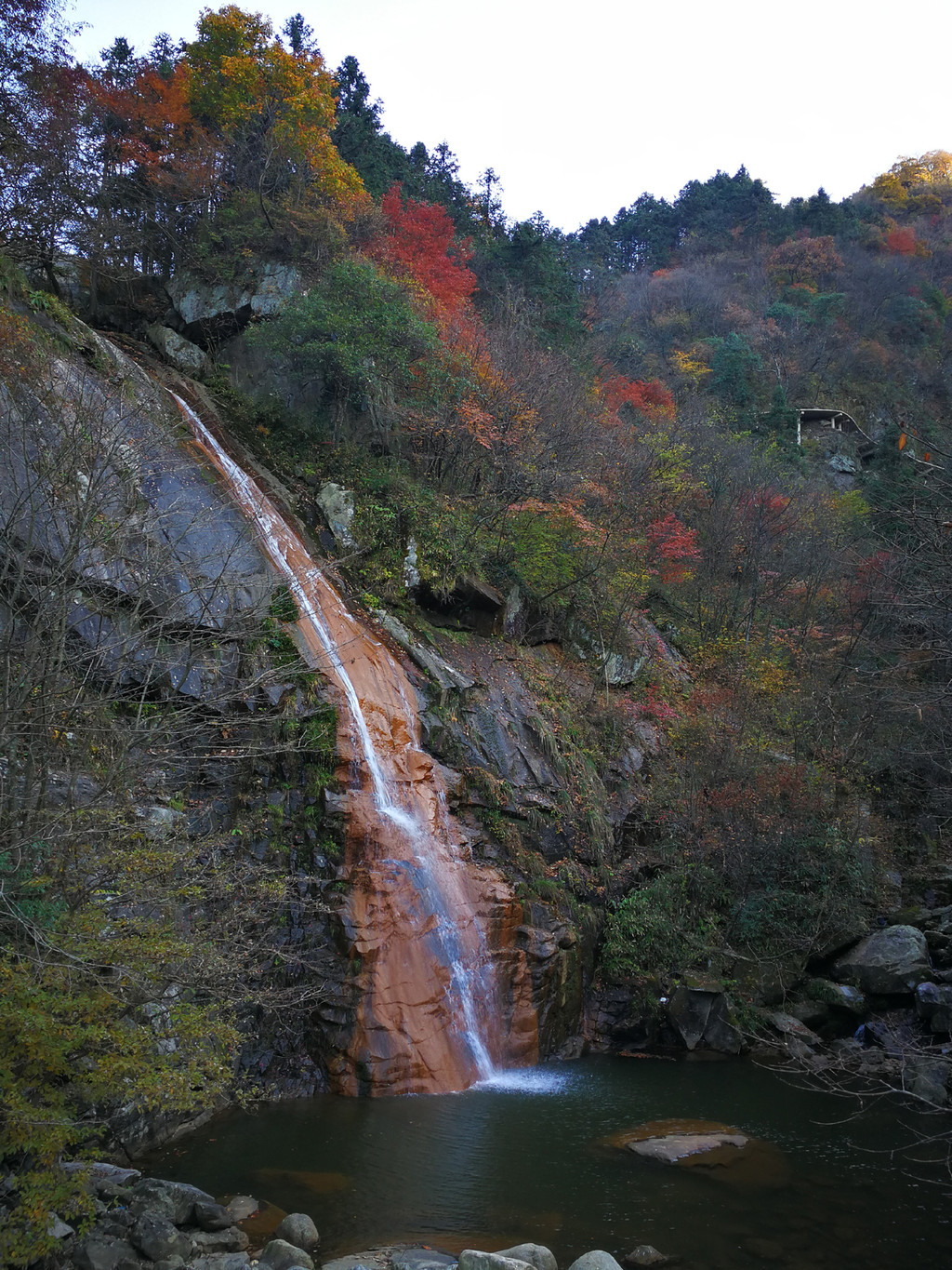 大别山腹地杏黄枫红深秋赏叶正当时 安徽金寨楼房村 胭脂村 马鬃岭