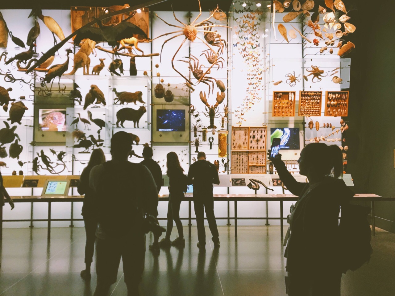 2019美国自然历史博物馆_旅游攻略_门票_地址_游记点评,纽约旅游景点