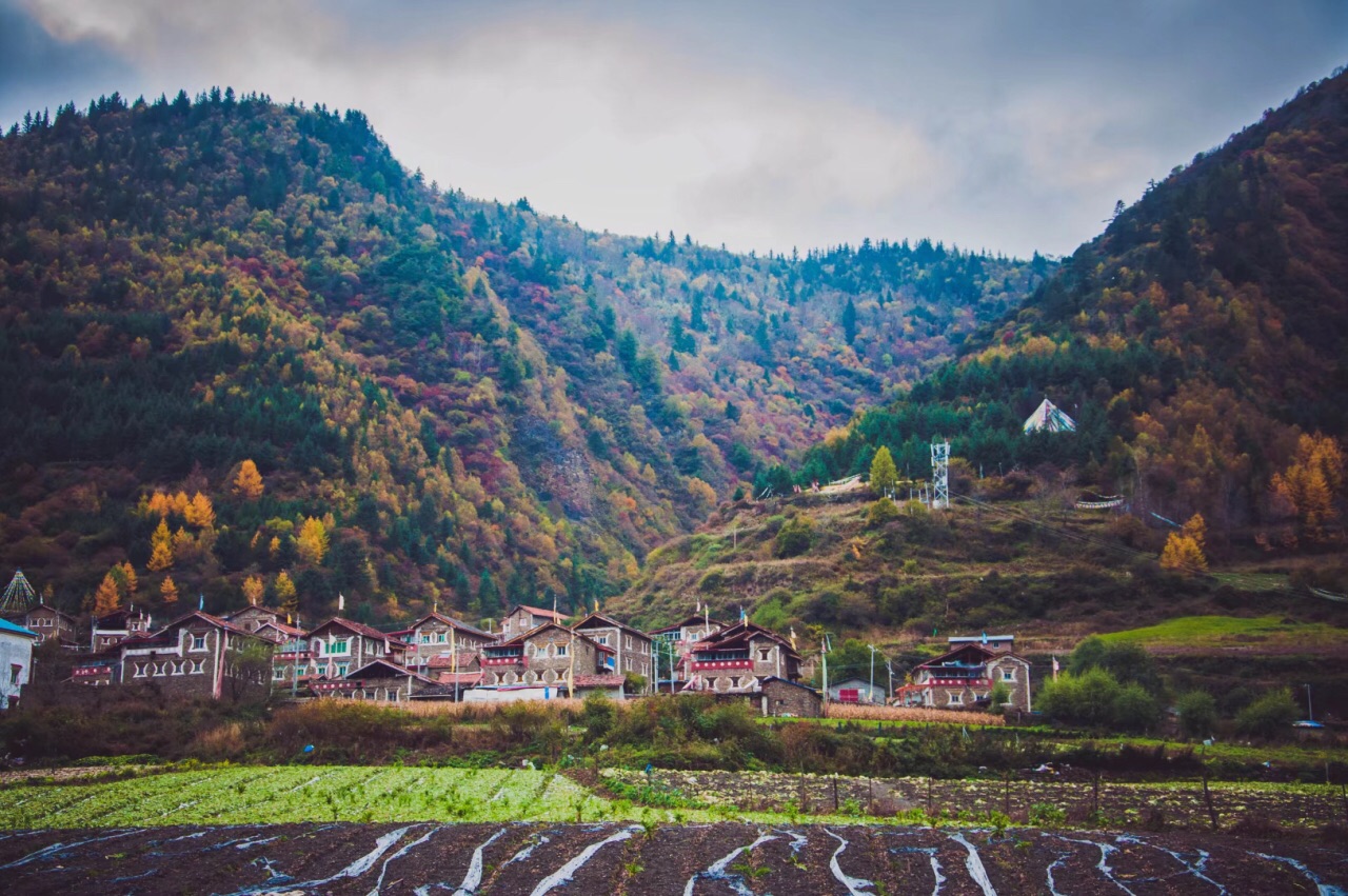 理县米亚罗风景区好玩吗,理县米亚罗风景区景点怎么样_点评_评价