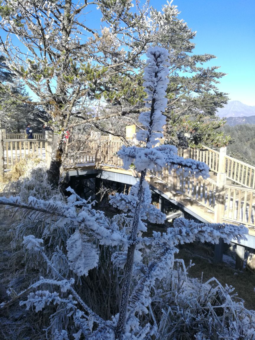 西岭雪山日月坪好玩吗,西岭雪山日月坪景点怎么样