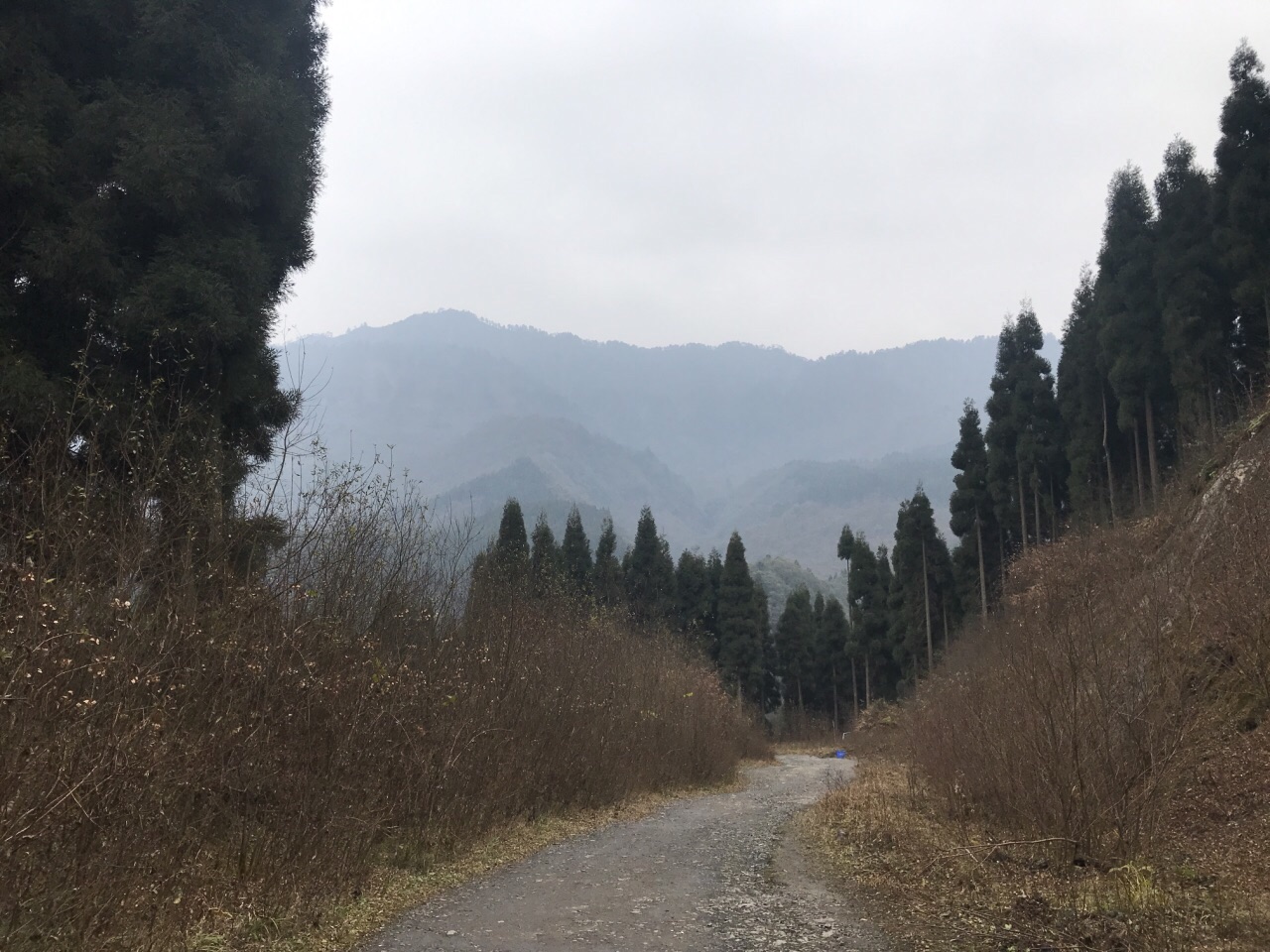 鸡冠山