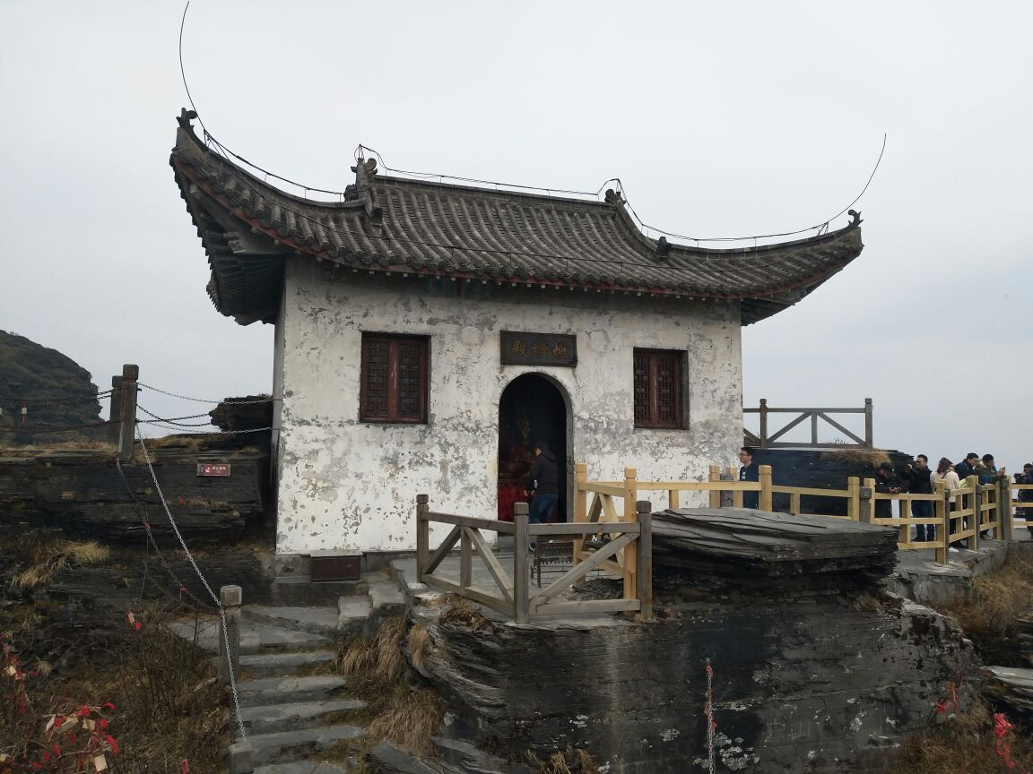 老金顶
