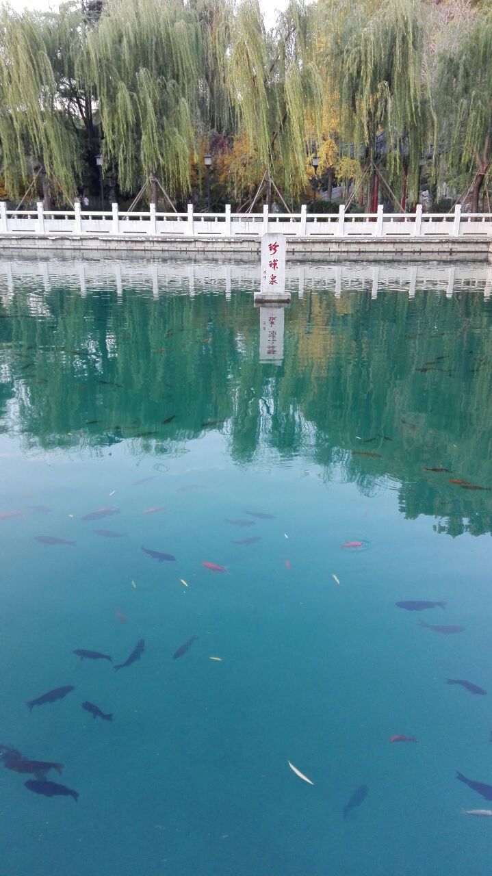 济南珍珠泉好玩吗,济南珍珠泉景点怎么样_点评_评价