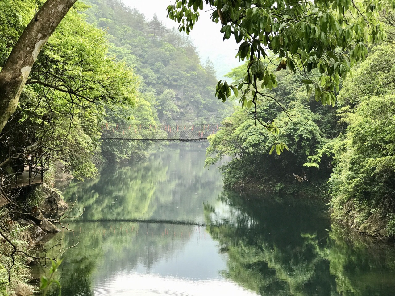 醉山野度假区