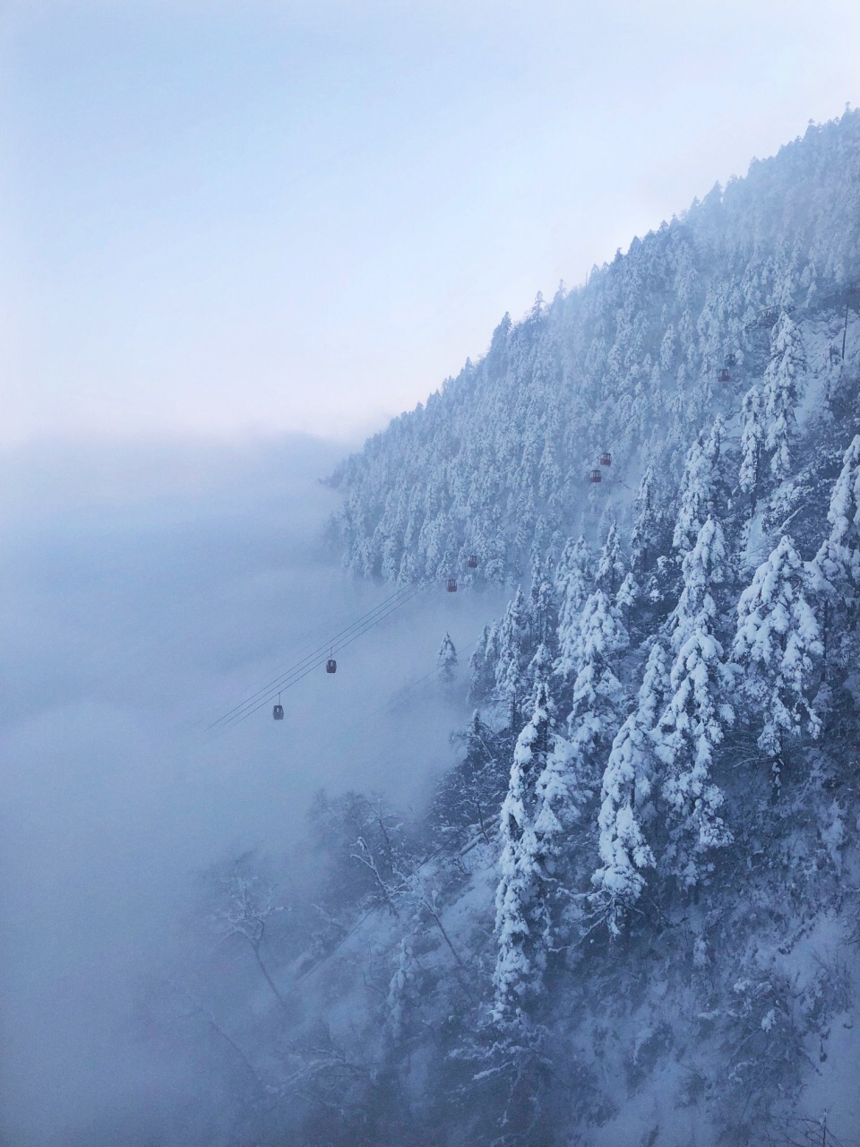 西岭雪山,除了人多需要排队进景区,排队坐索道等,一路上的雪景可是