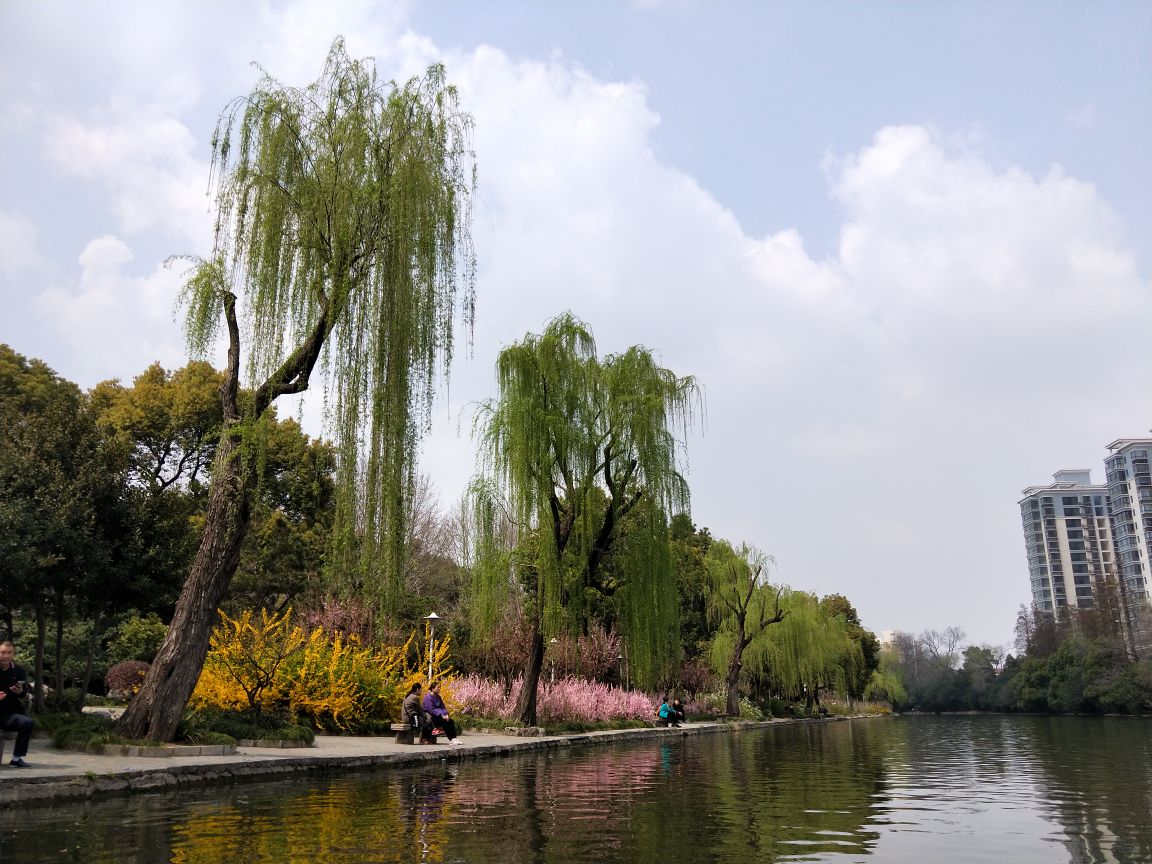 上海好玩的公园