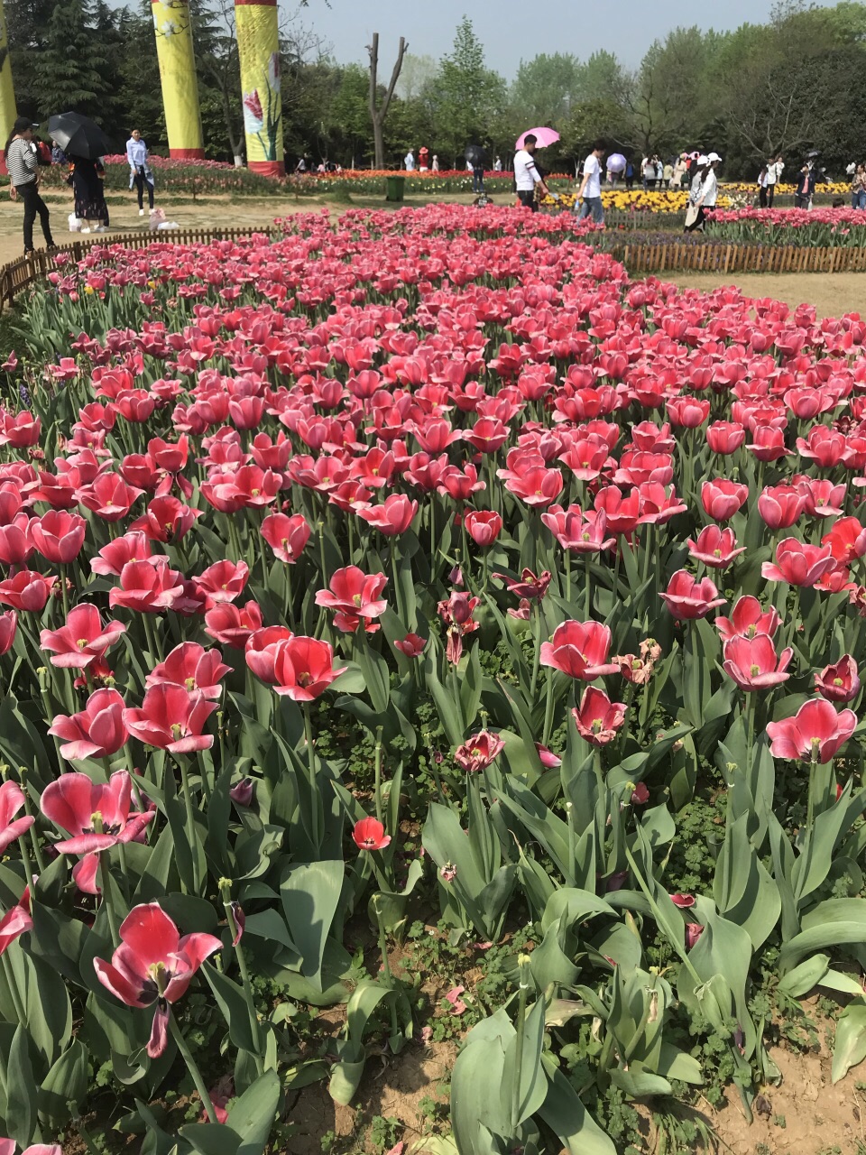 2019合肥植物园_旅游攻略_门票_地址_游记点评,合肥