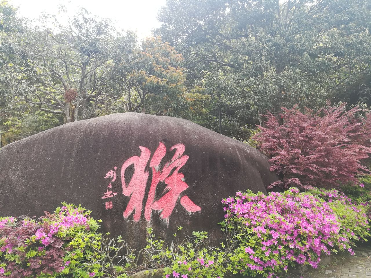 上杭梅花山(中国虎园)攻略,上杭梅花山(中国虎园)门票