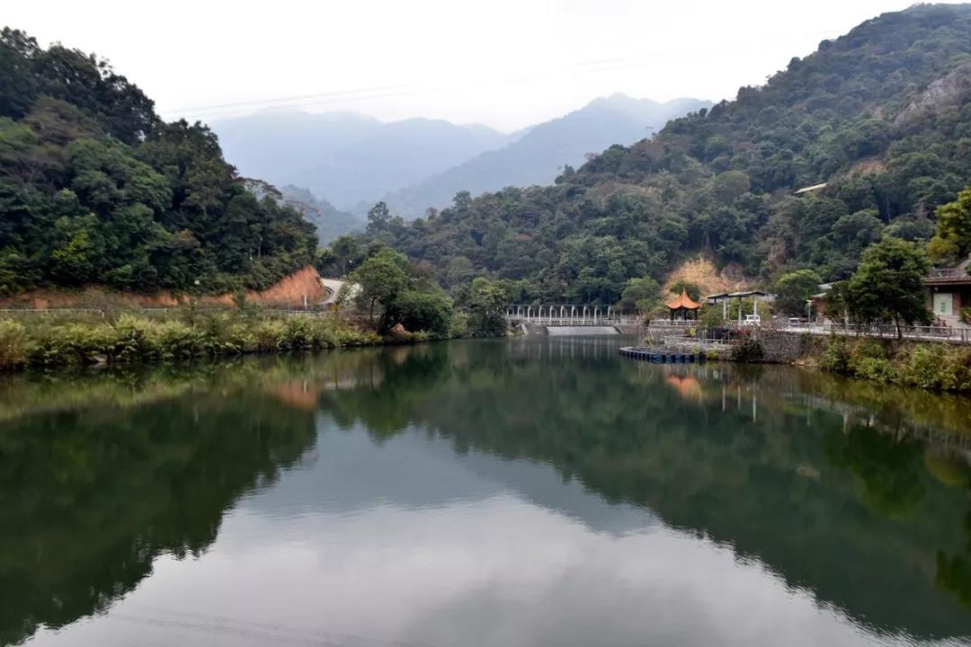 何处觅秋枫—惠州博罗秋枫寨自驾游