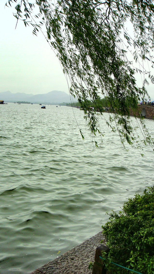 来杭州不要错过这里的美食,到"西湖春天","半亩地"品尝当地的"杭帮菜
