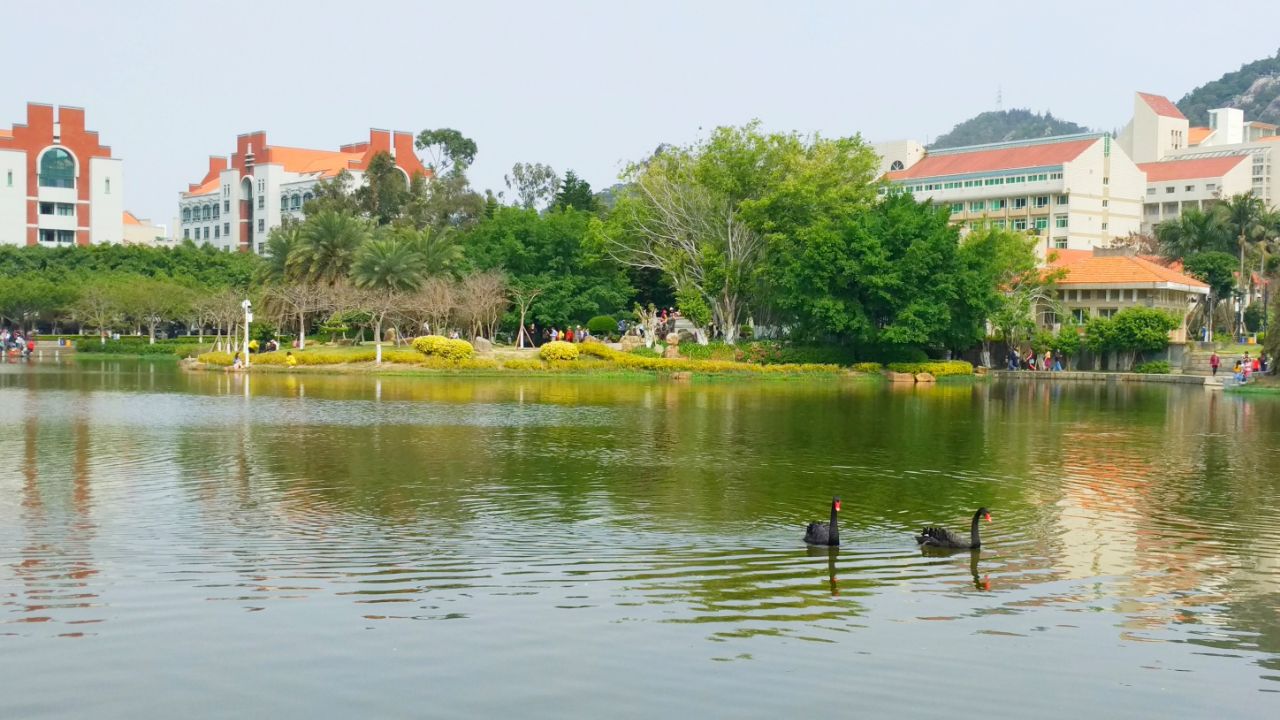 厦门大学芙蓉湖