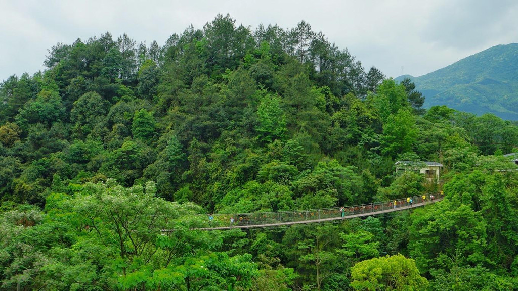 回归老家,亲近自然,乡约大余丫山(两天一夜自由行攻略)