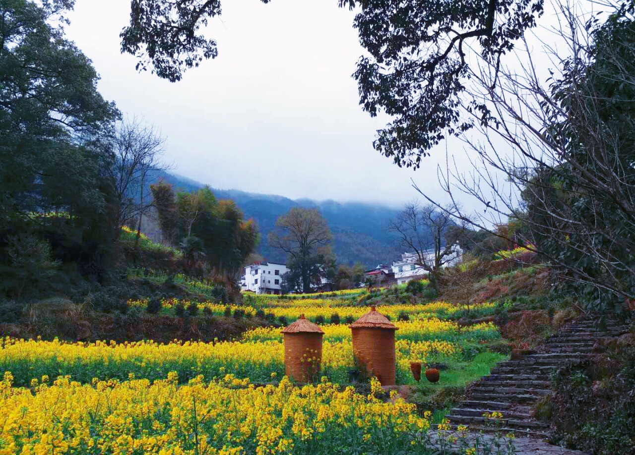 江岭旅游景点攻略图