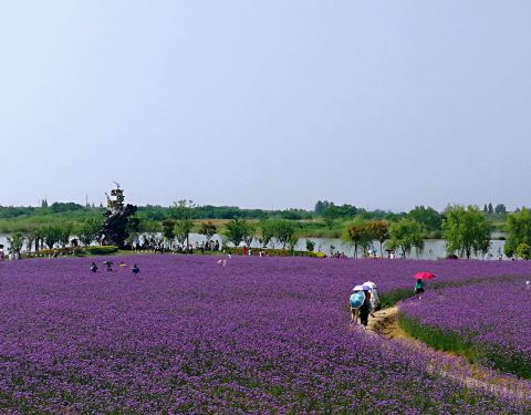 2019大浦世界世界乡村,南陵大浦门票攻略游玩视频4乡村光环图片