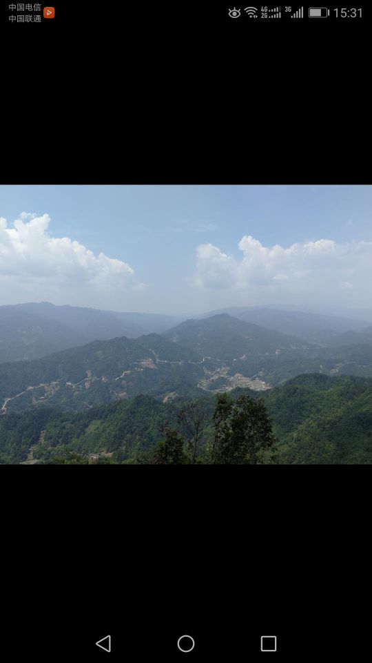 宜昌中亚楠木林景区好玩吗,宜昌中亚楠木林景区景点样