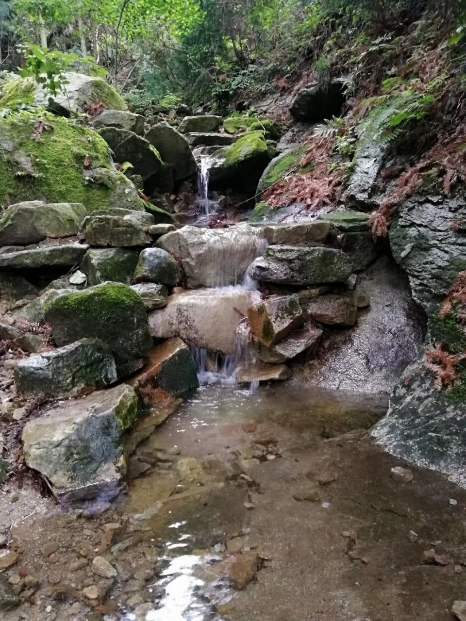 湖北三角山旅游度假区