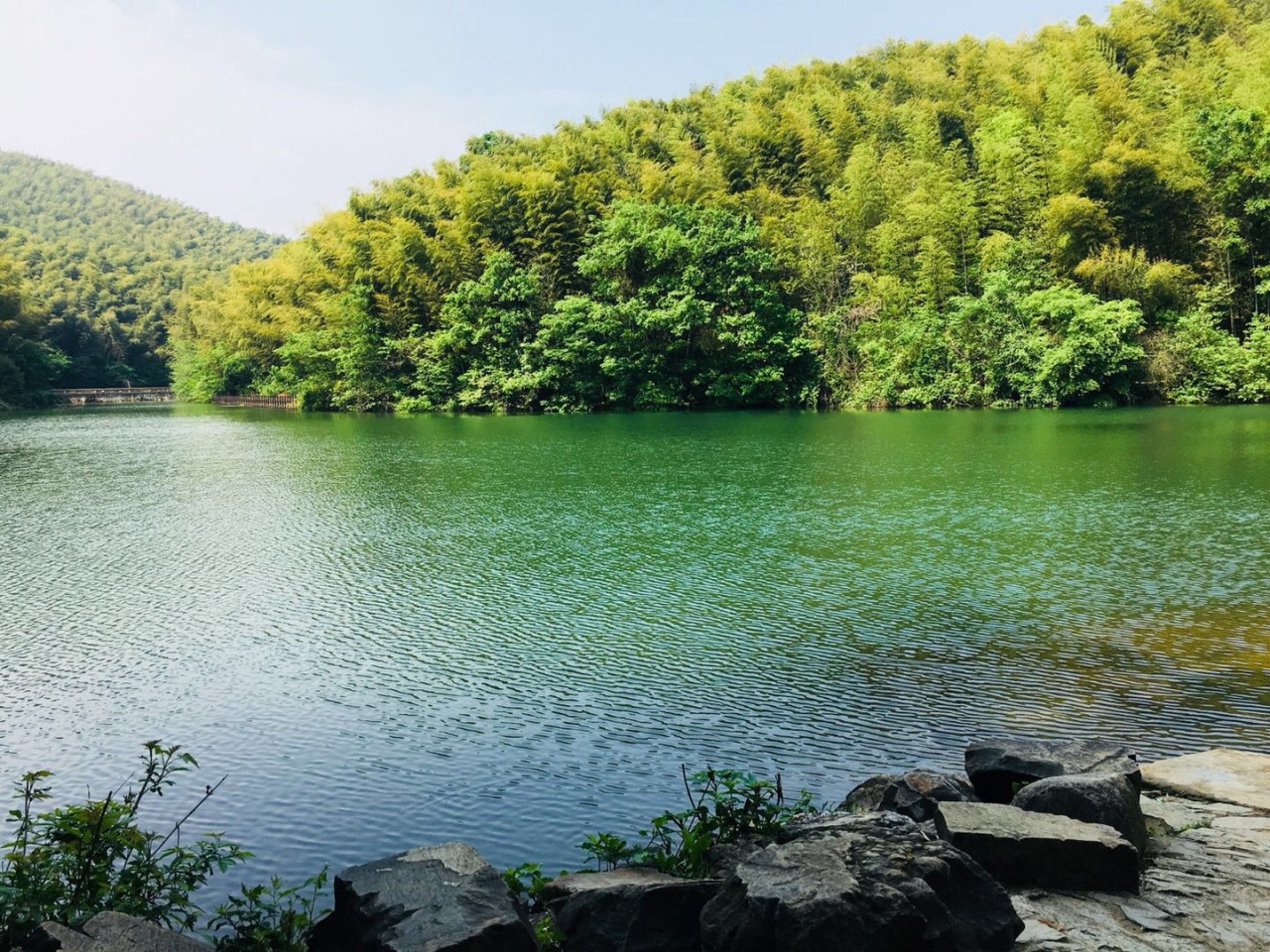 石塘竹海